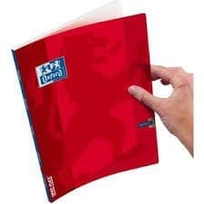 Cahier de 100 pages 24X32 - SEYES 90 G