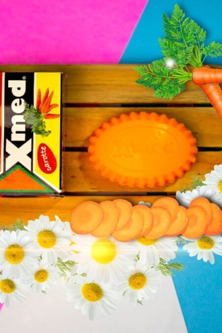 SAVON ANTISEPTIQUE XMED 80Gr Carrot