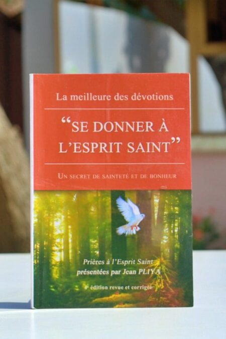 SE DONNER A L'ESPRIT SAINT